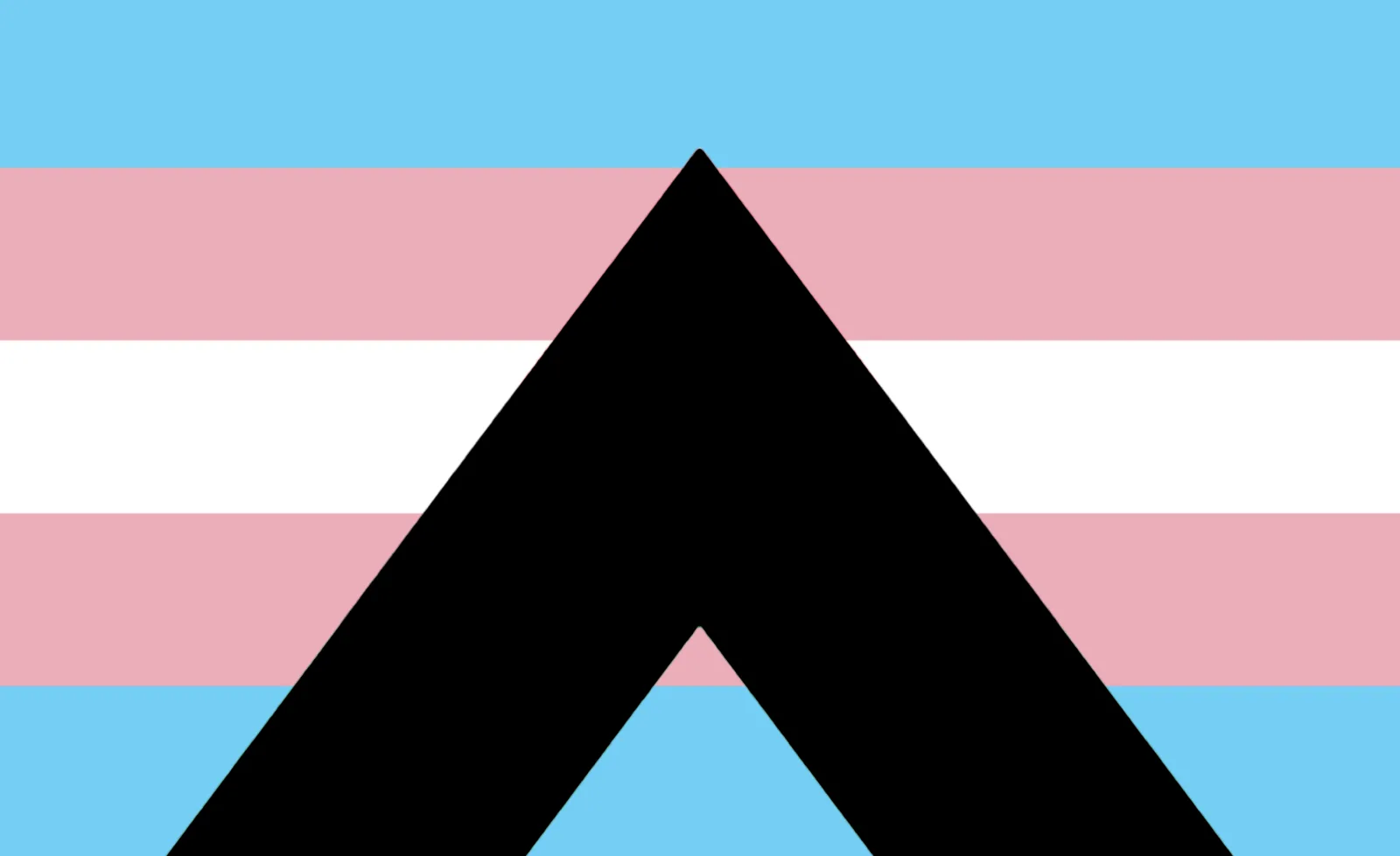 The Cisgender Ally Flag: the transgender flag's five bands charged with a large plain black letter-A chevron.