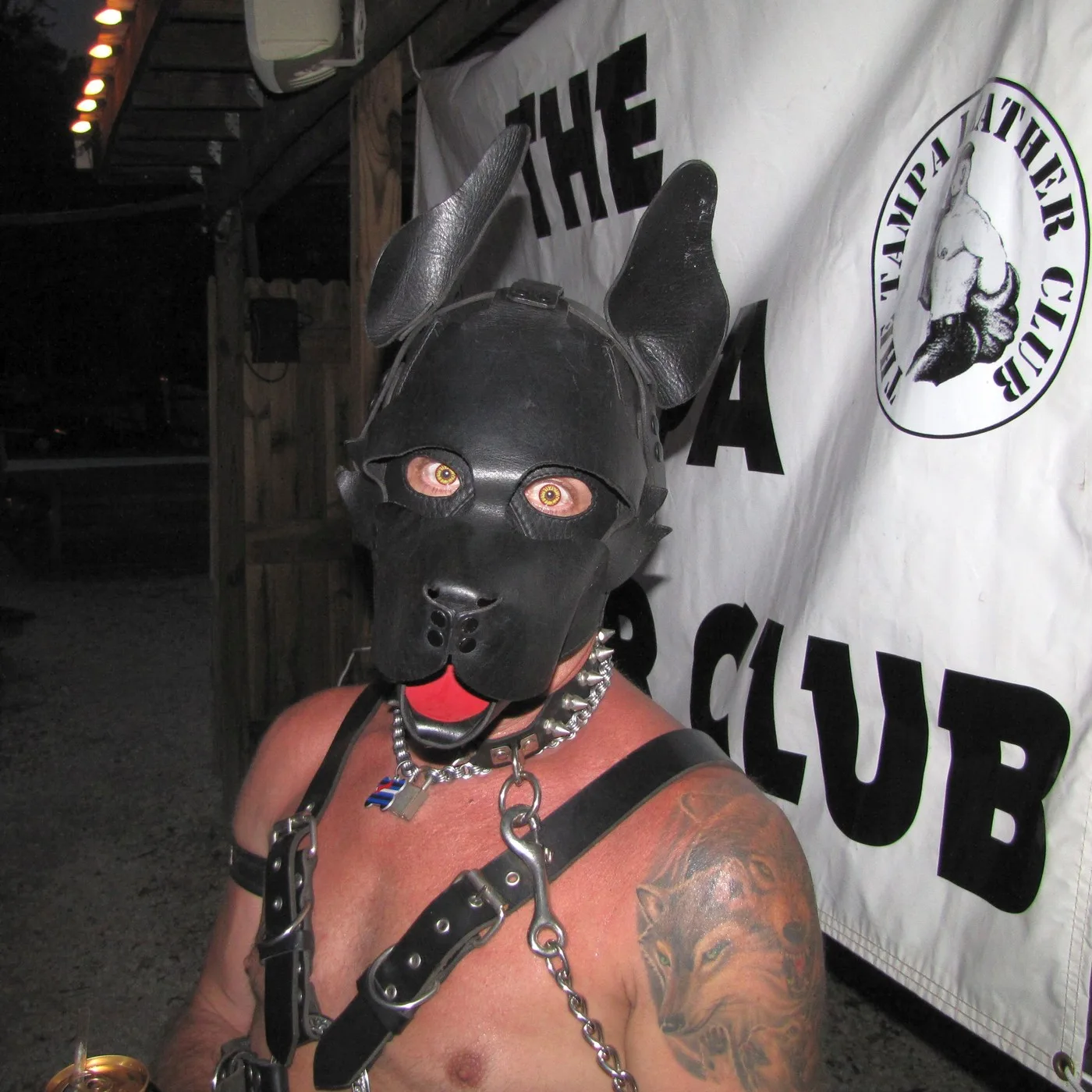 Portrait of Pup Flip Gray (LeatherPup)