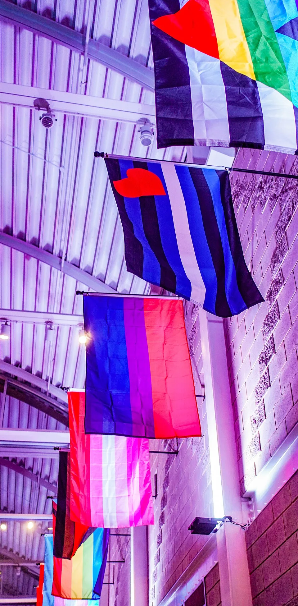 Five flags on wall brackets beneath a metal roof lit purple. Highest is the straight ally flag, black and white stripes with a rainbow chevron. Below it hang the Leather Pride flag with its red heart, a bisexual flag, a lipstick lesbian flag, and a rainbow flag with black and brown stripes added.