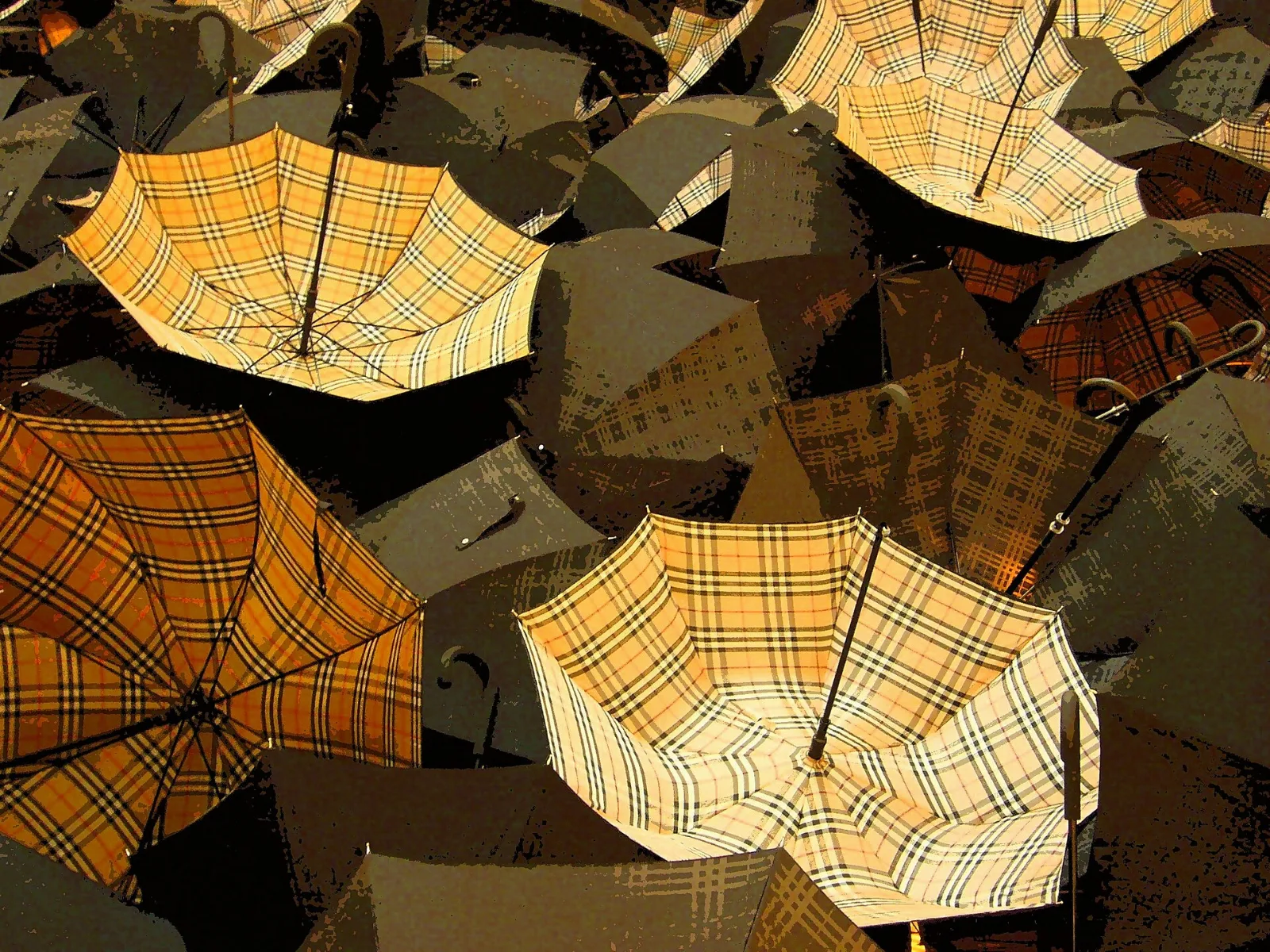 Dozens of open umbrellas printed in the Burberry check, seen from above.