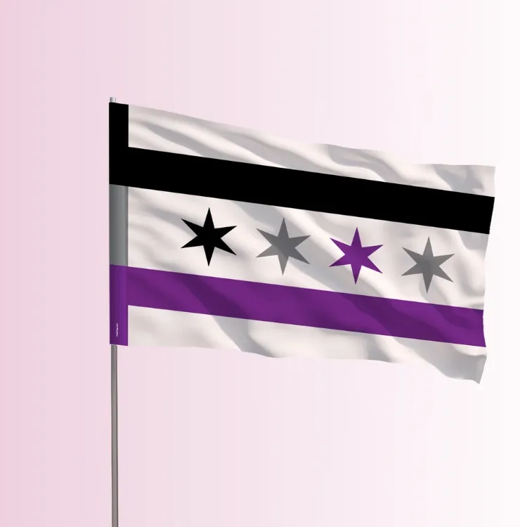 The Chicago Asexual Pride flag on a flagpole, the seller's product mockup.