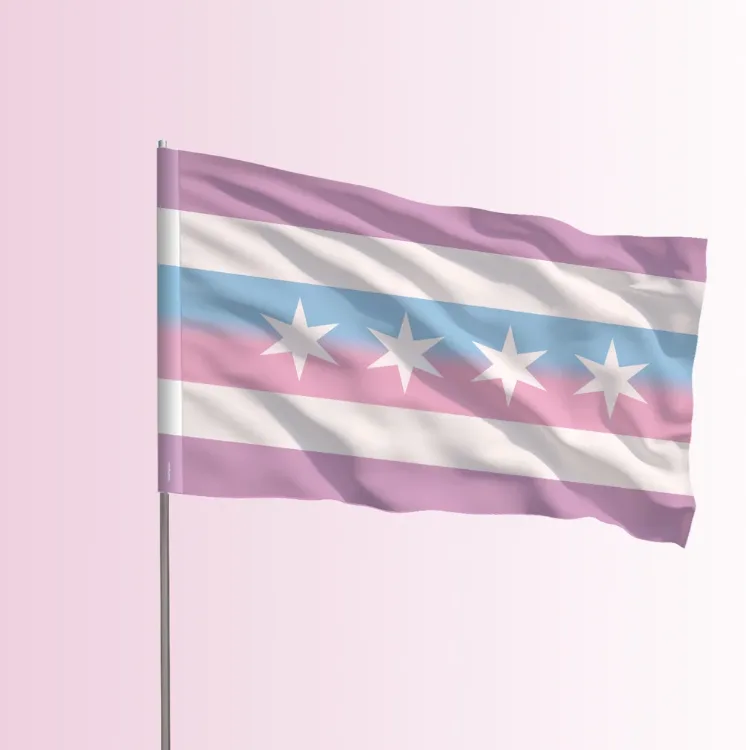 The Chicago Intersex Pride flag on a flagpole, the seller's product mockup.