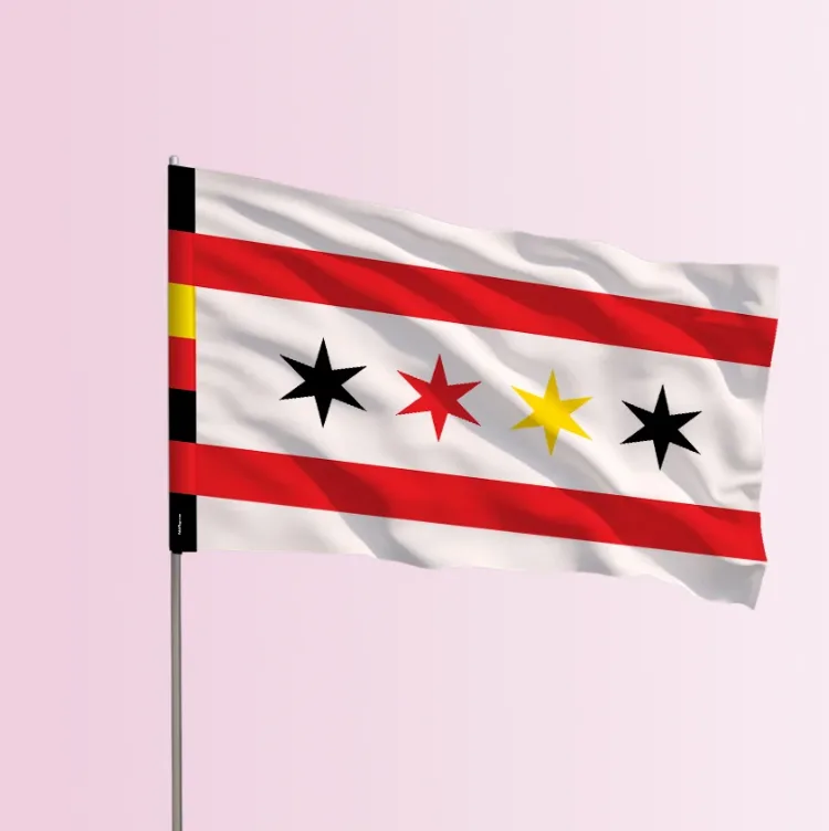 The Chicago Rubber Pride flag on a flagpole, the seller's product mockup.