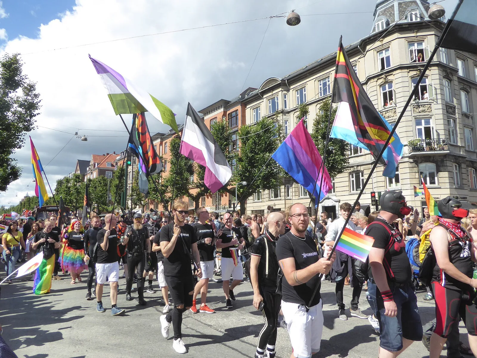 Marchers carrying several Pride flags, among them a black, grey, white and purple Asexual flag.