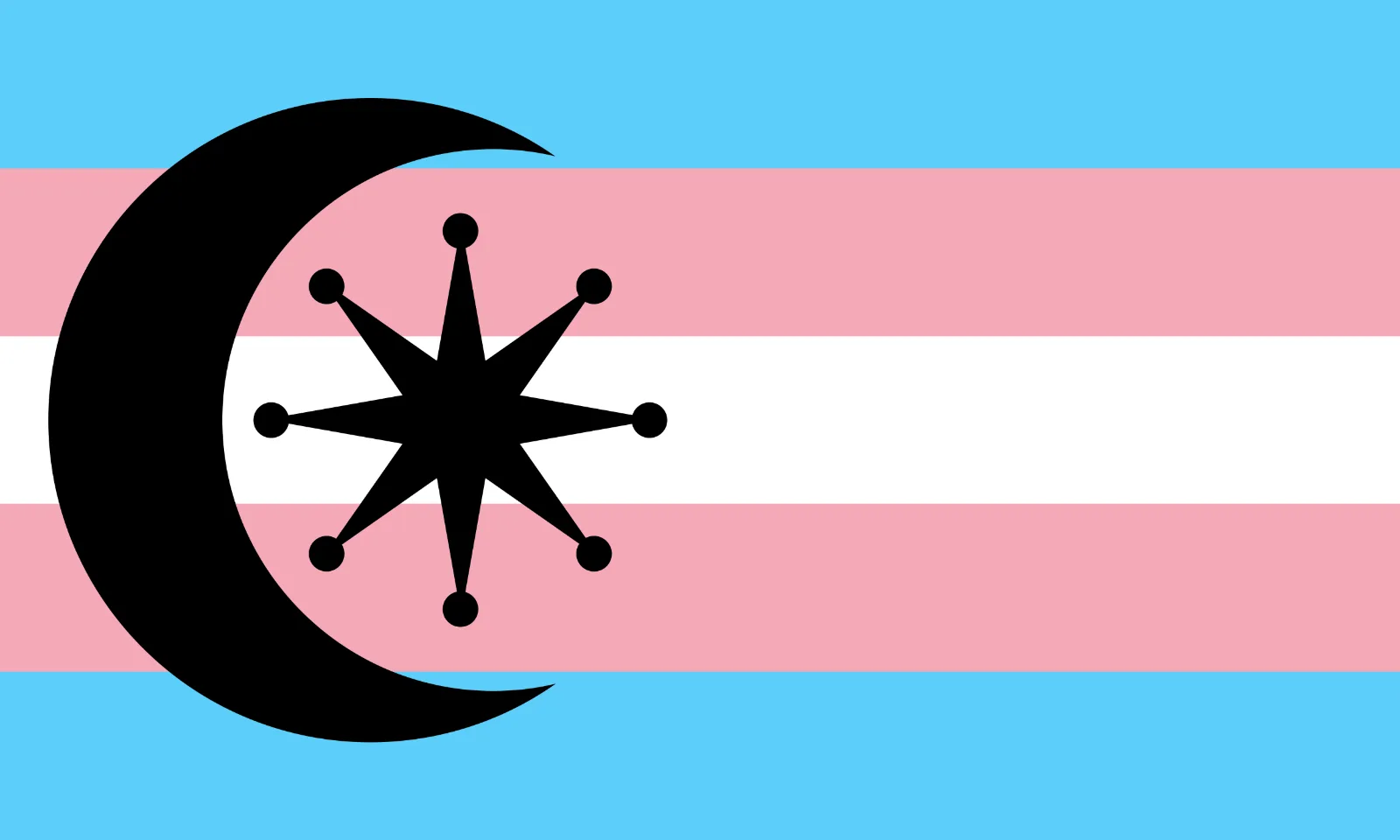 Khawaja Sira Pride Flag, the flag design