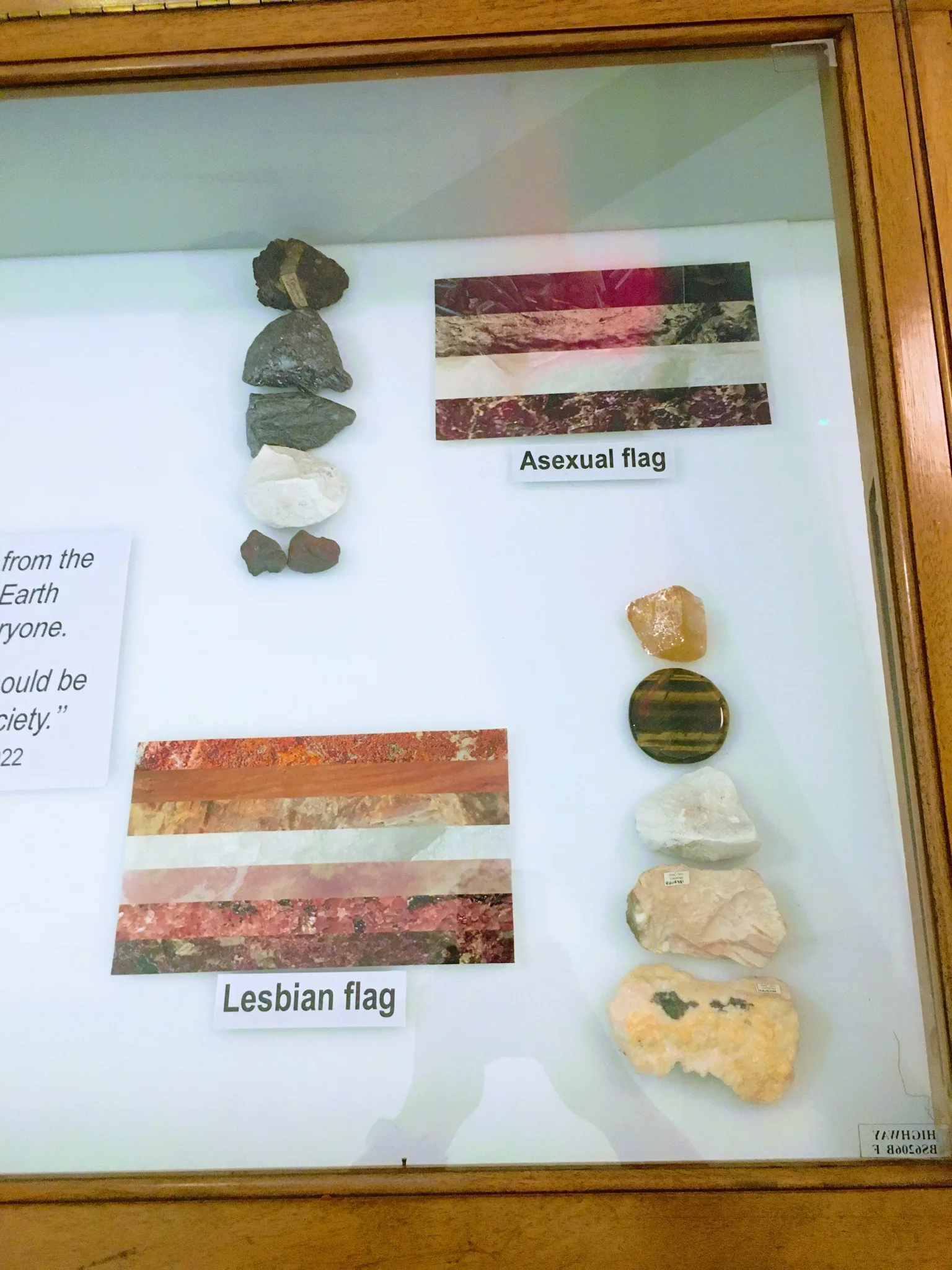 A wooden museum display case, photographed through glass, holding pride flags made from slices of rock and mineral alongside the specimens they were cut from. This case shows the asexual flag and the five-band lesbian flag.