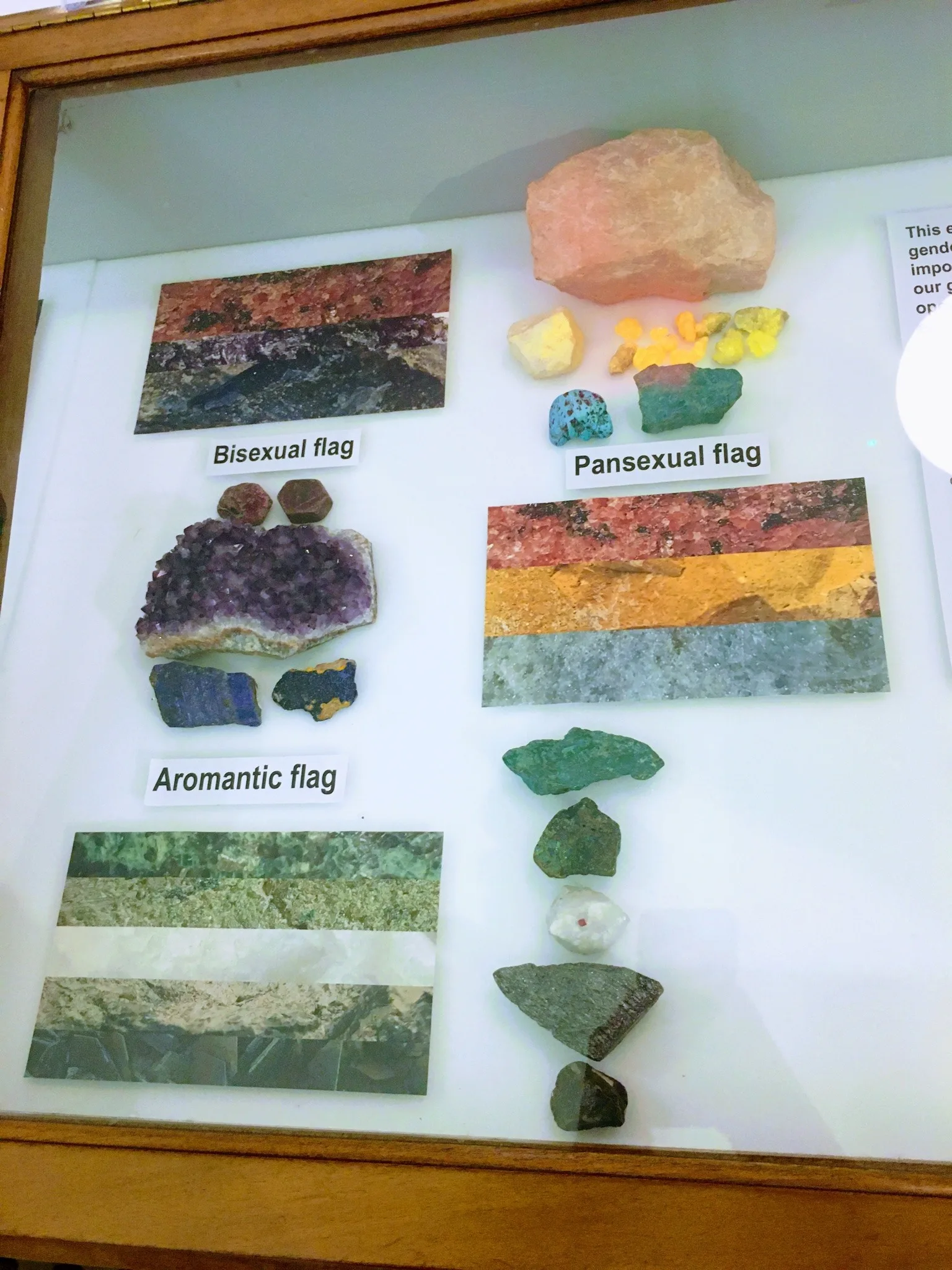A wooden museum display case, photographed through glass, holding pride flags made from slices of rock and mineral alongside the specimens they were cut from. This case shows the bisexual, pansexual and aromantic flags.
