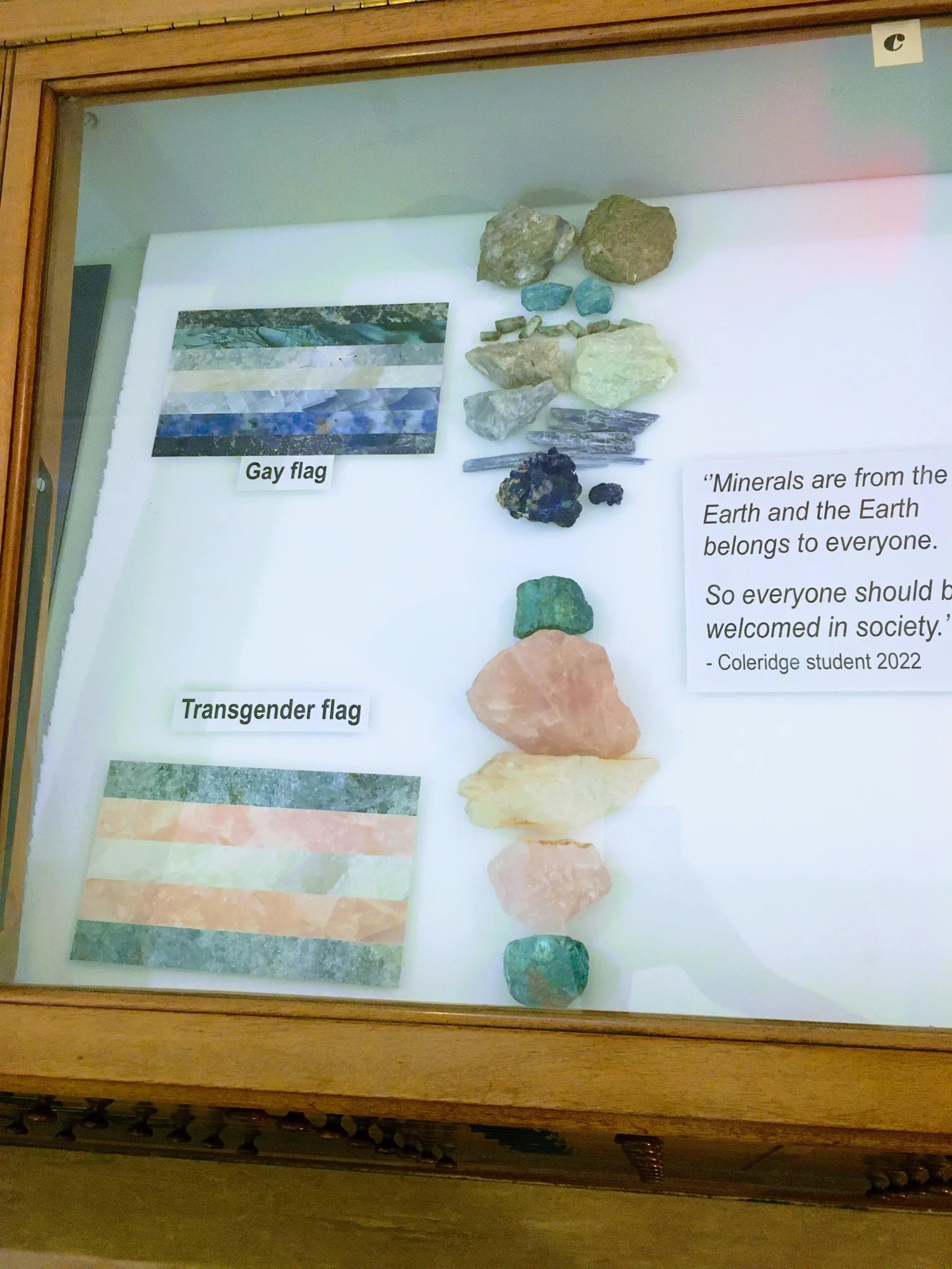 A wooden museum display case, photographed through glass, holding pride flags made from slices of rock and mineral alongside the specimens they were cut from. This case shows a flag labelled "Gay flag" and the transgender flag.