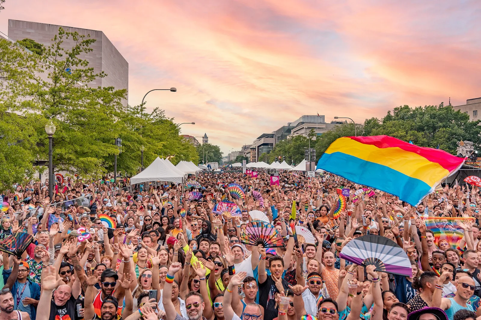 A dense crowd at sunset on Pennsylvania Avenue with a large pansexual flag waving above it and hand fans in rainbow and asexual colours held up throughout.