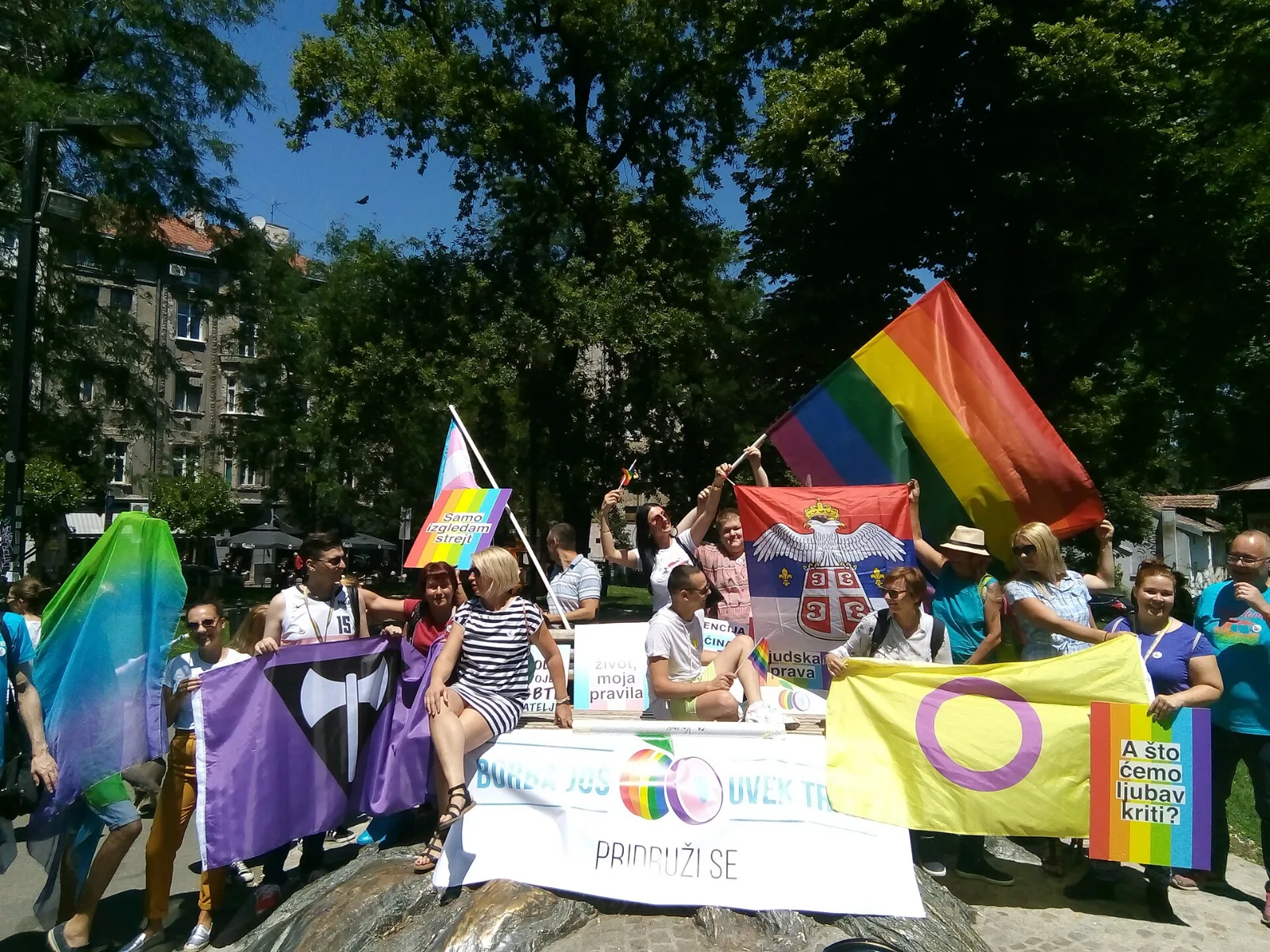 A group poses on a rock in a sunlit park behind a banner reading PRIDRUŽI SE. At the left two people hold a violet flag with a black inverted triangle and white double-headed axe; at the right two others hold a yellow flag with a violet ring. A rainbow flag, a Serbian tricolour with arms, and a transgender flag are raised behind them.