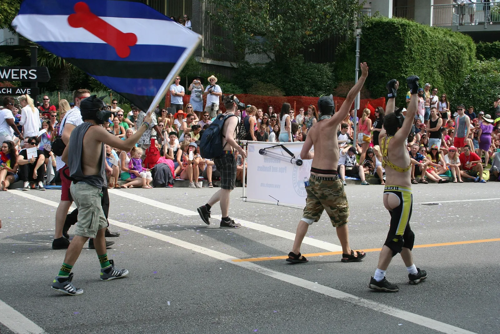 A Puppy Pride Flag carried among BDSM community marchers at a Pride parade.