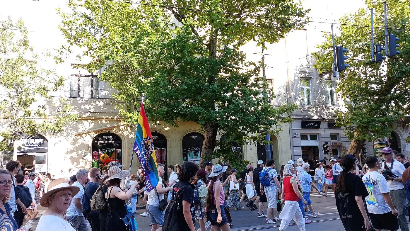 A marcher carrying a rainbow Gadsden flag at Budapest Pride 2025 on Bartók Béla út.