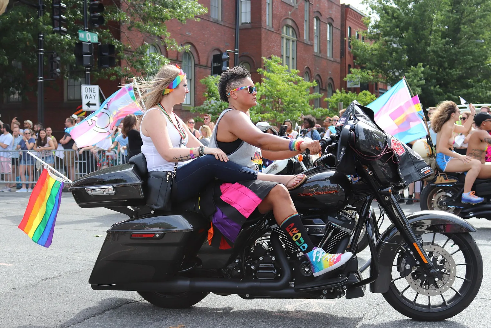 A transgender pride flag charged with the transgender symbol, carried in a parade.