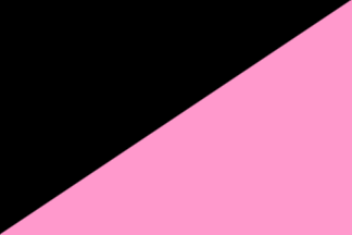 A rectangle split corner to corner from bottom hoist to top fly, black above the diagonal and pink below.