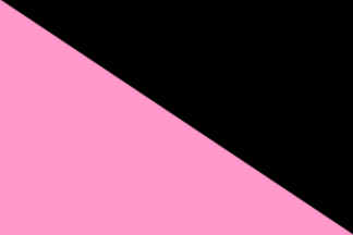 A rectangle split corner to corner from top hoist to bottom fly, black above the diagonal and pink below.