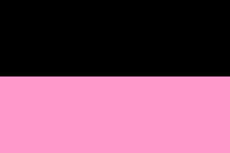 A horizontal bicolour, black over pink.