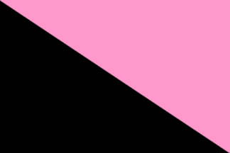 A rectangle split corner to corner from top hoist to bottom fly, pink above the diagonal and black below.
