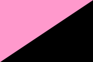 A rectangle split corner to corner, pink above the diagonal and black below it.