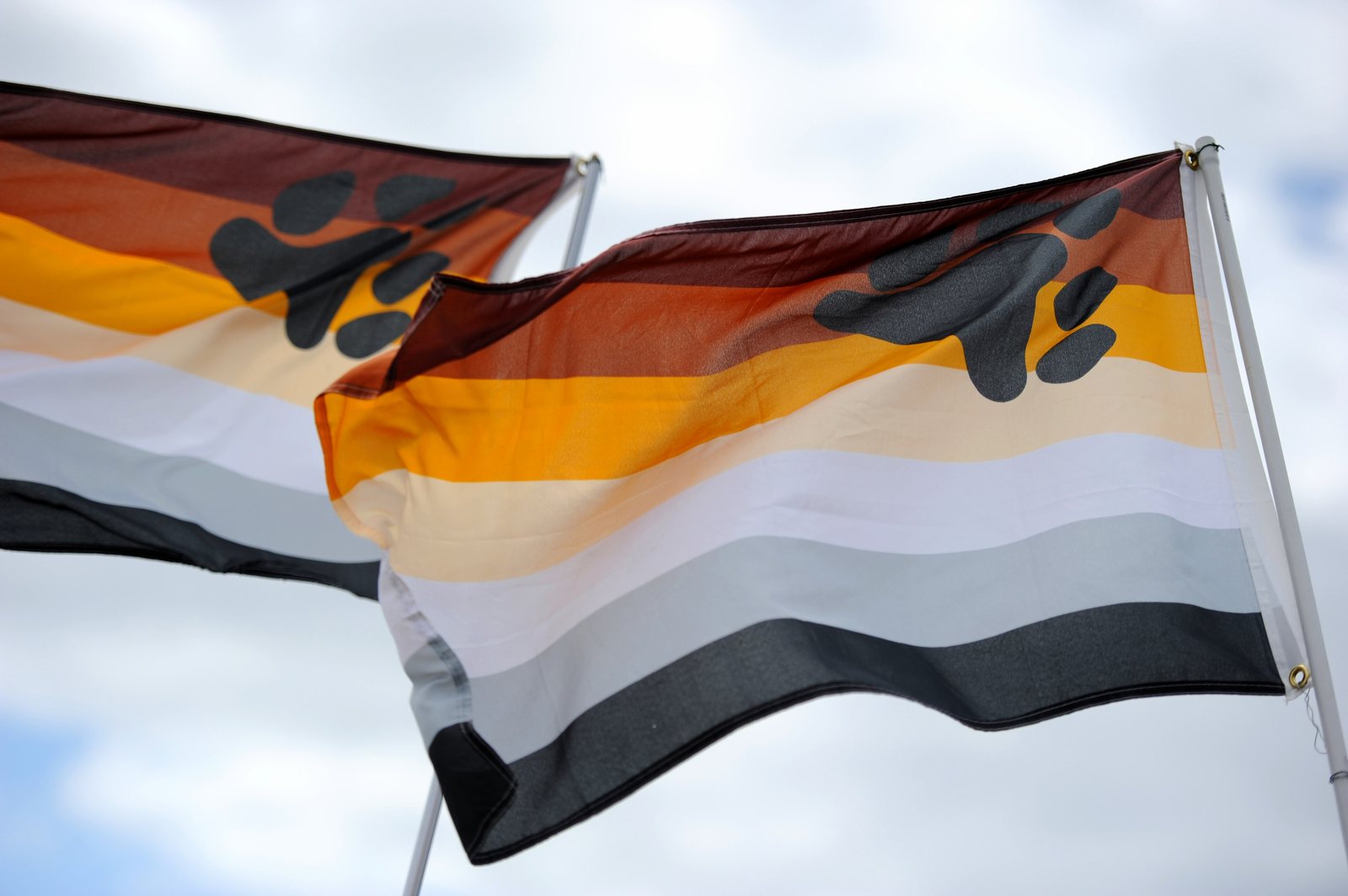 Two bear flags flying against a bright sky, showing seven horizontal stripes from dark brown through rust, gold, cream and grey to black, with a black paw print at the hoist.
