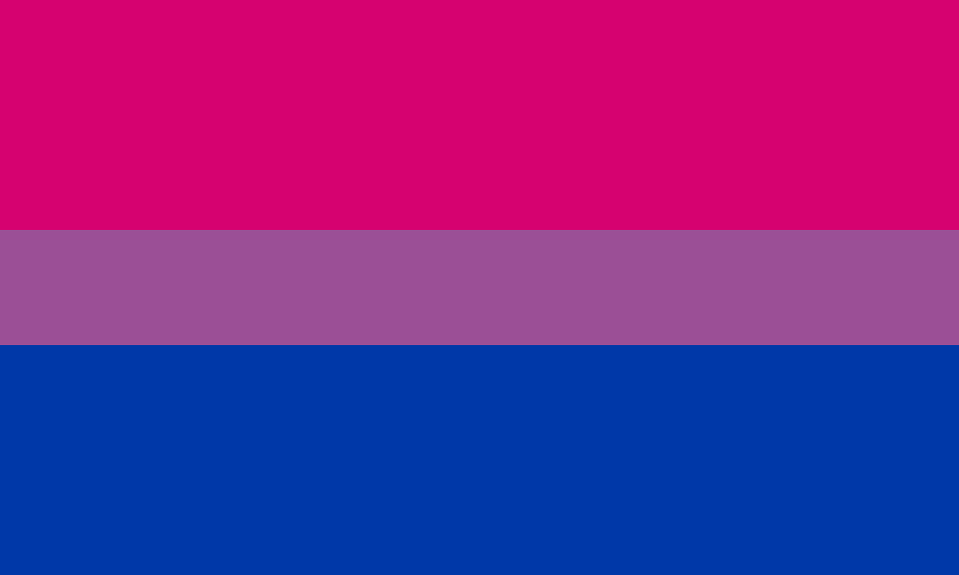 The bisexual pride flag as a flat graphic: a wide magenta stripe, a narrower purple stripe, and a wide royal blue stripe.