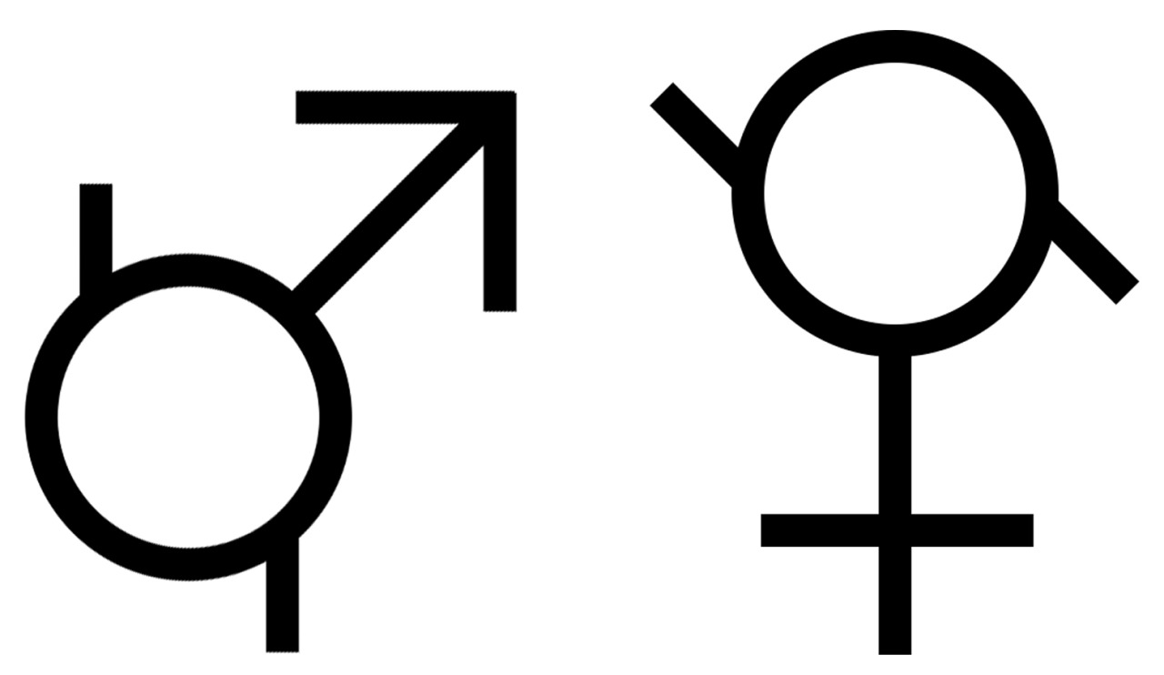 Two black glyphs on a white ground: a modified Mars symbol for boyflux and a modified Venus symbol for girlflux.