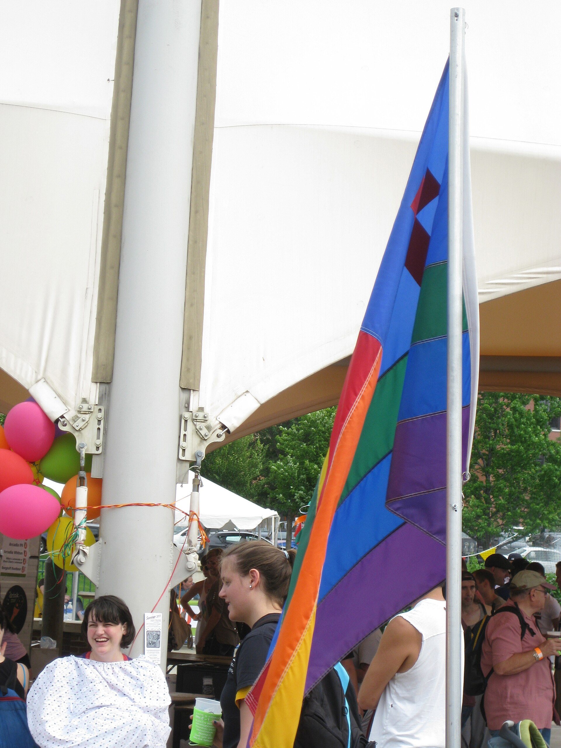 A rainbow flag with a blue canton bearing a dark red cross, hanging from a flagpole at Kalamazoo Pride 2011.