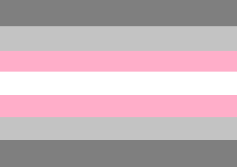 Salem's original demigirl flag artwork: seven mirrored horizontal stripes in dark gray, light gray, pink, white, pink, light gray, and dark gray