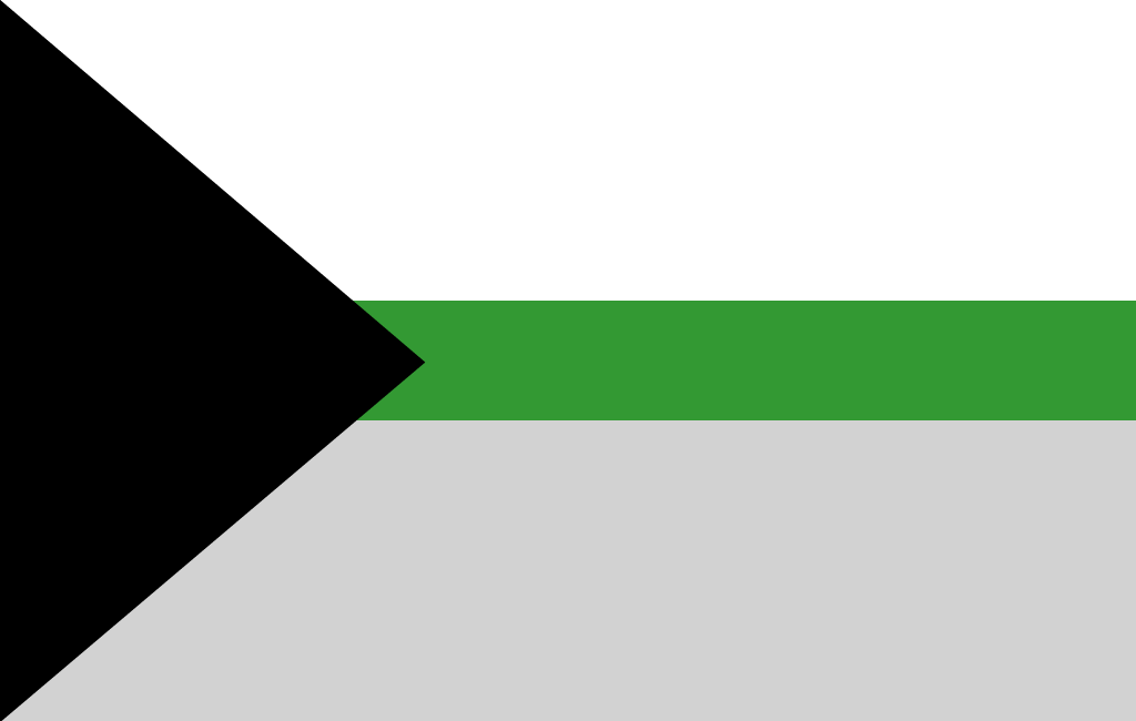 The Demiromantic pride flag: a black triangle at the hoist over broad white, narrow green and broad gray horizontal fields.