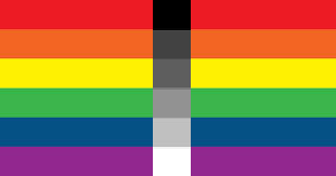 The original homoflexible flag as published in February 2015: six rainbow bands crossed at the centre by a vertical band of six greyscale blocks.