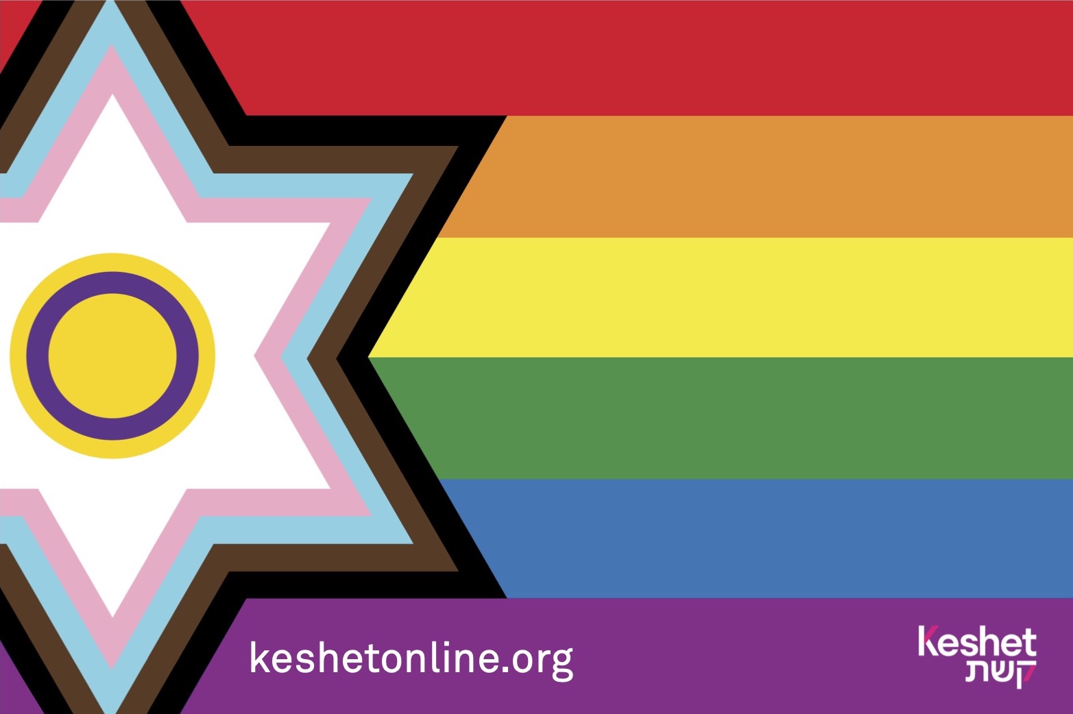 A rainbow flag with a large six-pointed star at the hoist, bordered in pink, light blue, brown and black, the white star holding a purple ring on a yellow disc.