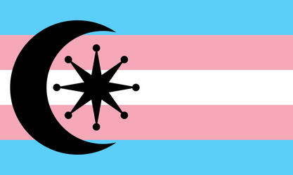 A small copy of the khawaja sira flag: transgender flag stripes with a black crescent and star.