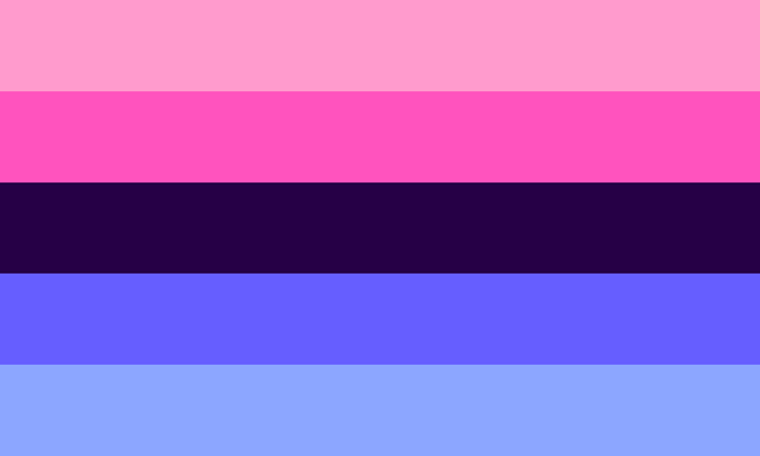 The omnisexual flag as preserved by pride-color-schemes in 2016