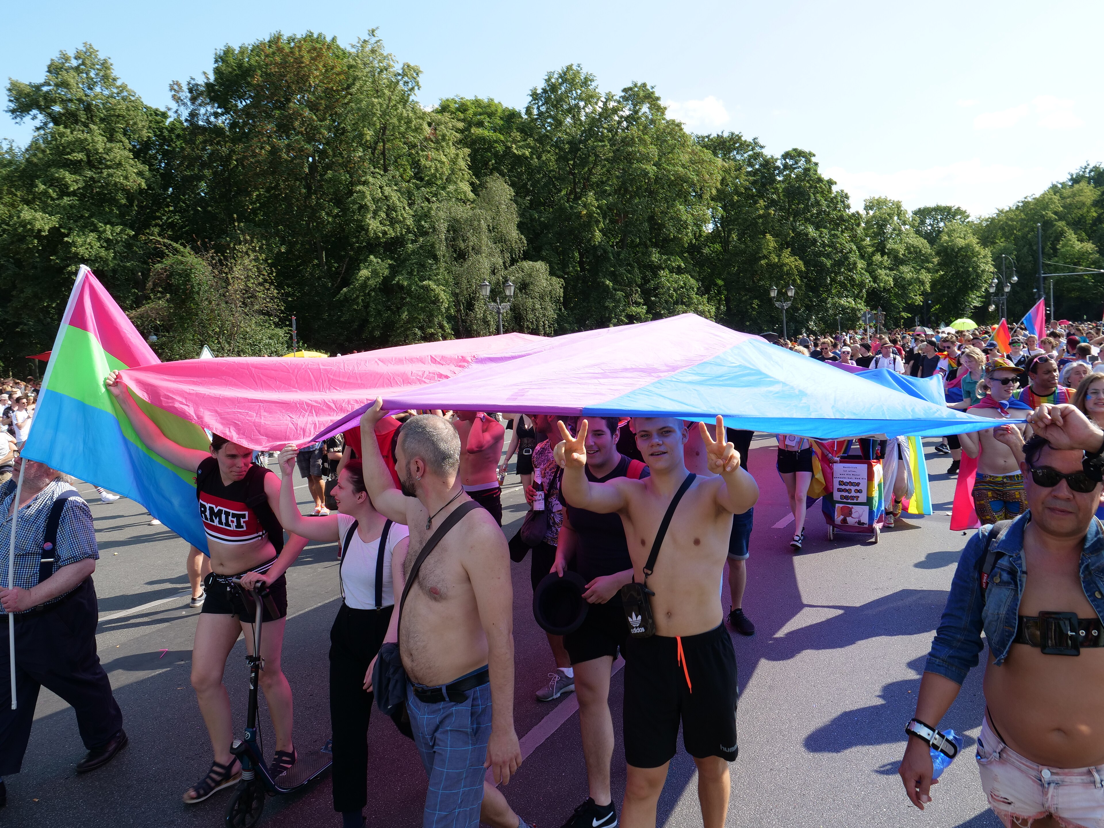 A pink, green and blue three-stripe flag on a pole beside a huge bisexual flag at a street march.