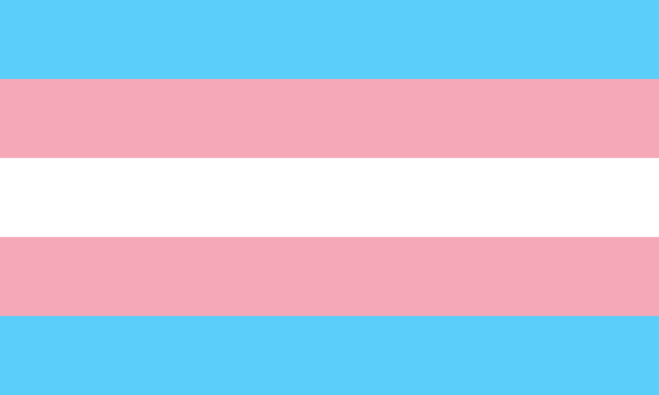 The five-stripe transgender pride flag: light blue, pink, white, pink, light blue.