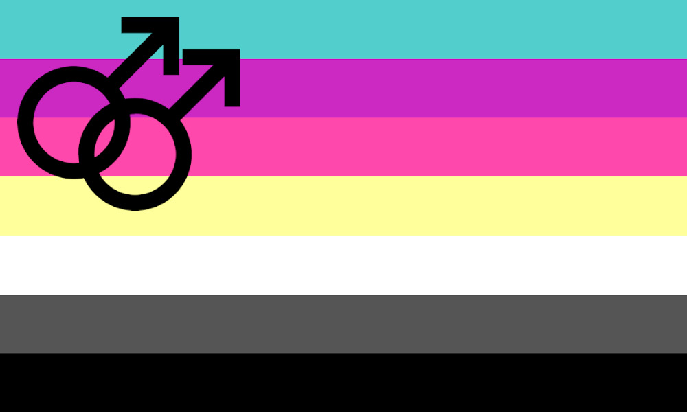 Seven-stripe flag in turquoise, purple, dark pink, yellow, white, dark grey and black, with an interlocking double-Mars symbol toward the hoist.