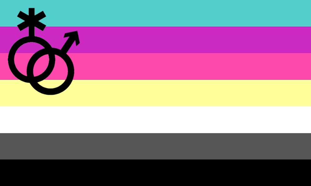 Seven-stripe flag in turquoise, purple, dark pink, yellow, white, dark grey and black, with a nonbinary symbol interlocked with a Mars symbol toward the hoist.