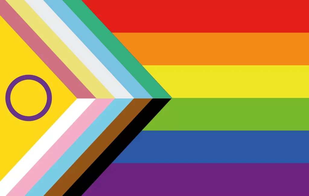 Progress+ Flag (Disabled Queer Transmasc Variant)