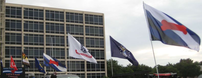 Puppy Pride Flag flying at an outdoor event alongside other community flags