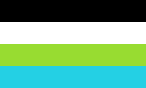A four-stripe flag in black, white, lime green and sky blue