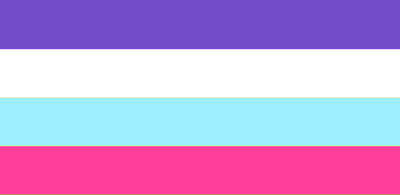 The multisexual pride flag: four horizontal bands in purple, white, light blue and pink.