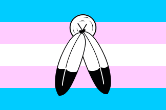 Two-Spirit Transgender Pride Flag, reconstruction of the flag design